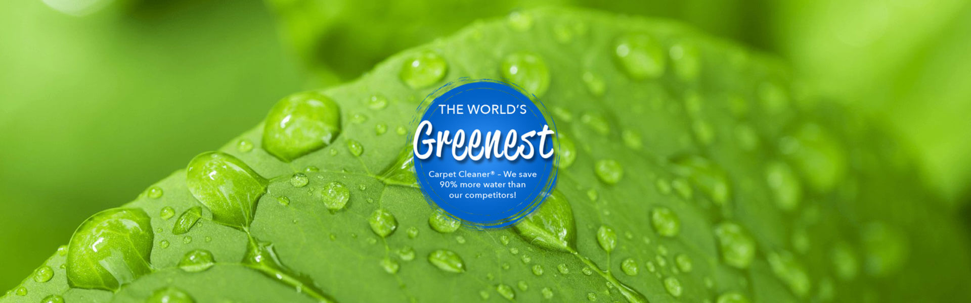 The world's greenest carpet cleaner