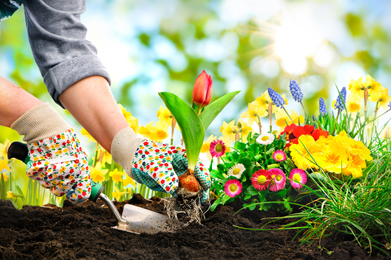 Green Thumb In The Great Outdoors 4 Spring Cleaning Tips For Your Yard