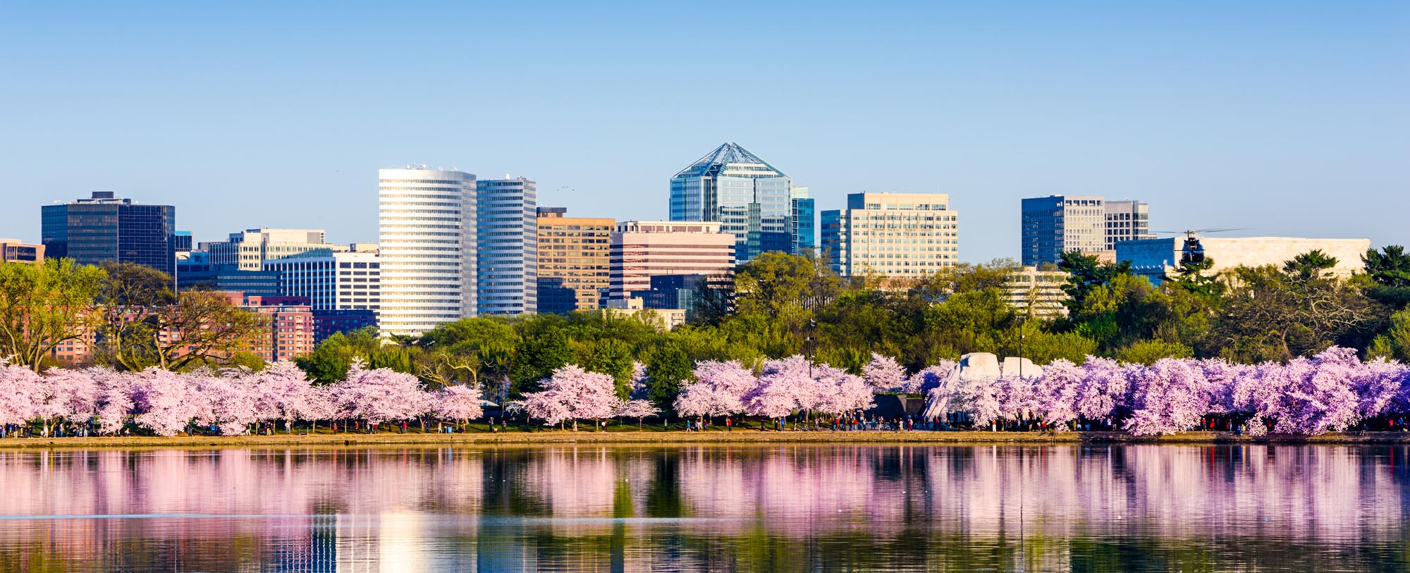 Oxi Fresh Carpet Cleaning Washington, DC OxiFresh