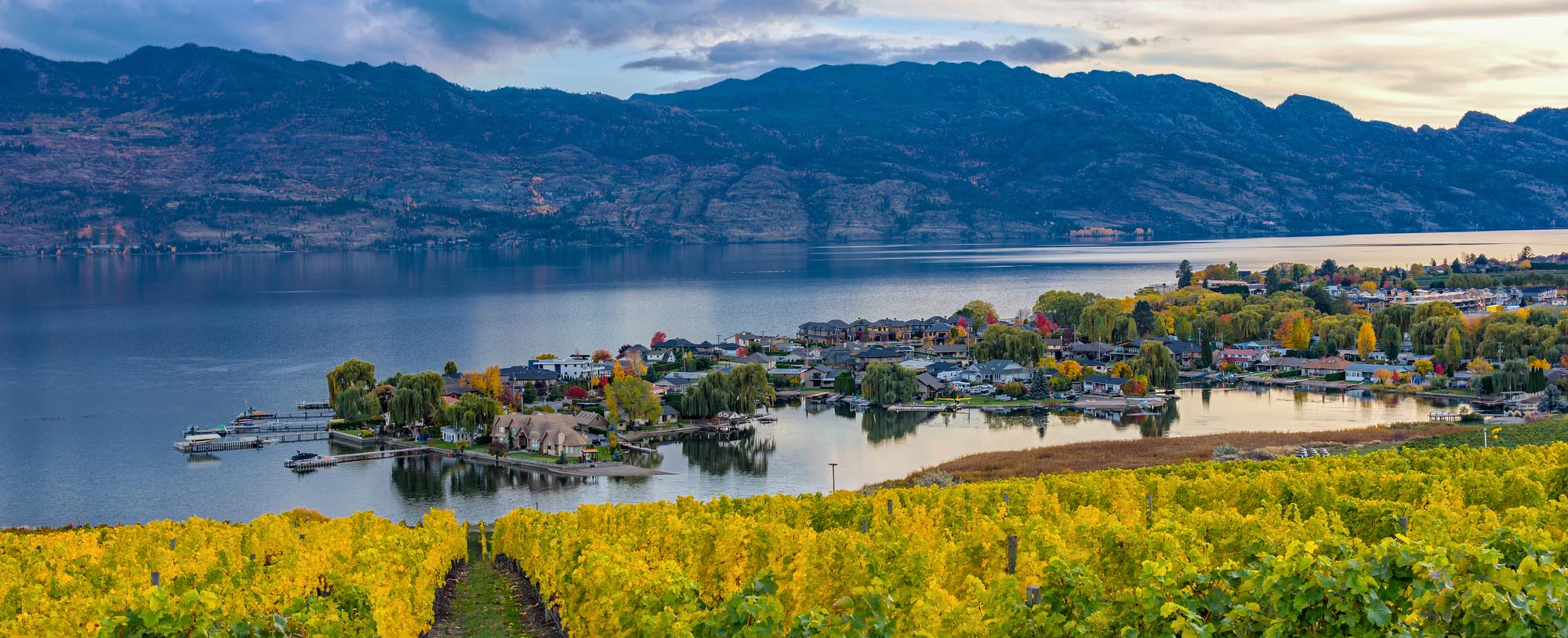 Oxi Fresh Carpet Cleaning Kelowna, BC OxiFresh