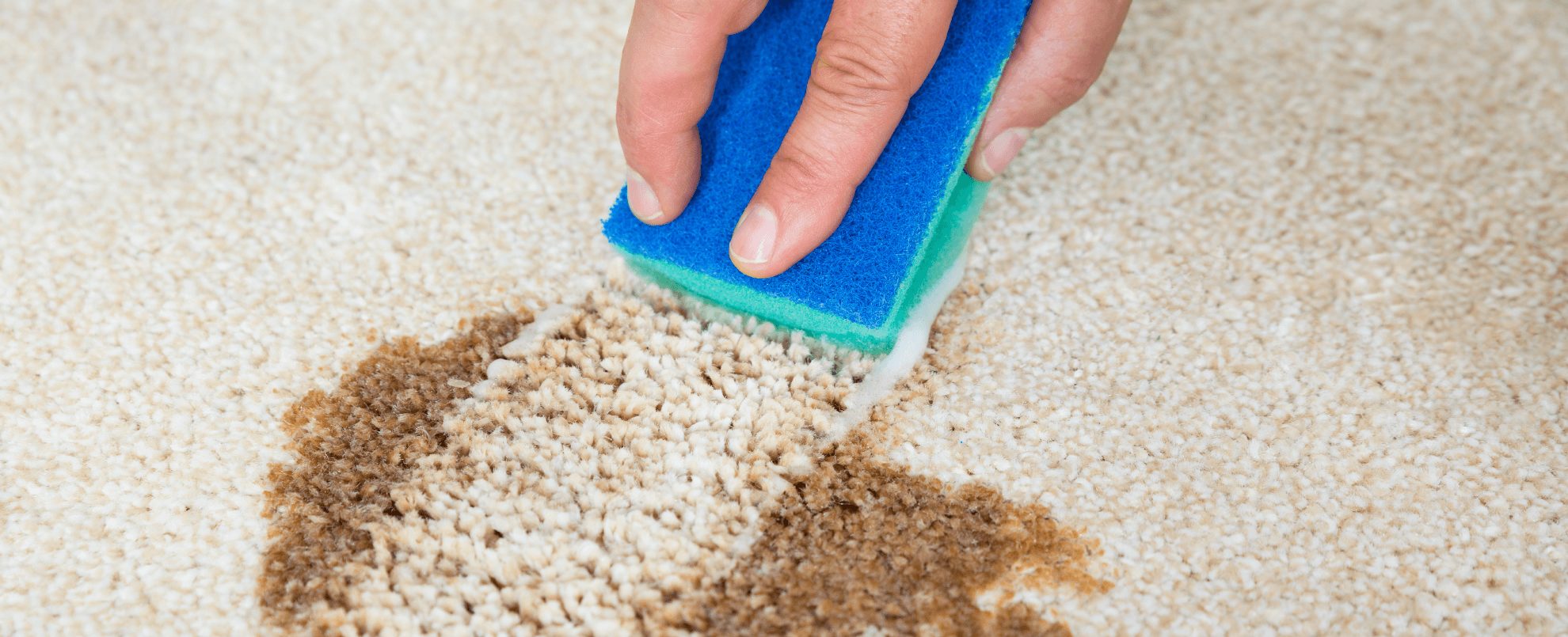 Oxi Fresh Carpet Cleaning Pittsford, NY OxiFresh