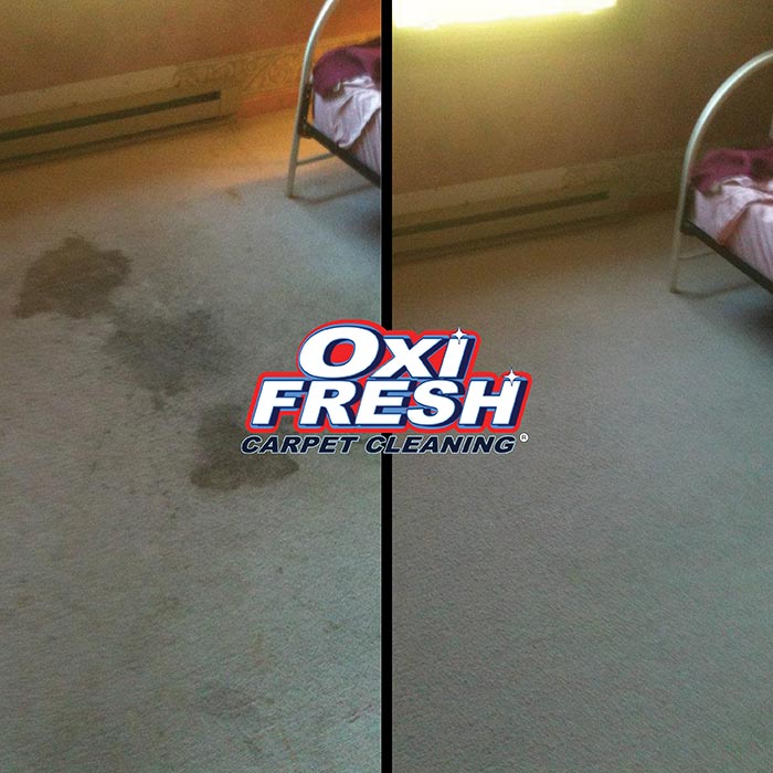 Carpet-Cleaning-Before-and-After-Photo-Oxi-Fresh-19