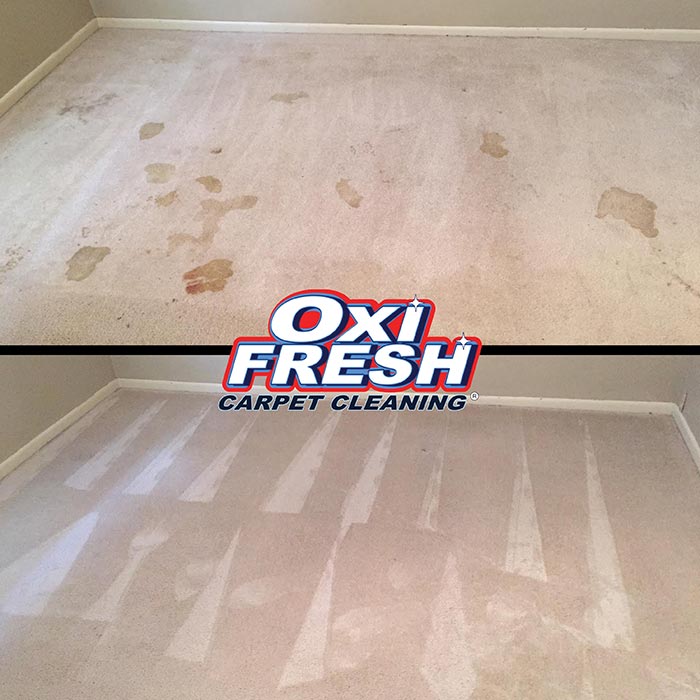 Carpet-Cleaning-Before-and-After-Photo-Oxi-Fresh-7