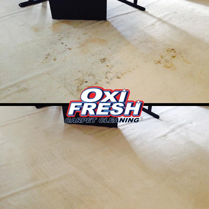 Carpet-Cleaning-Before-and-After-Photo-Oxi-Fresh-15