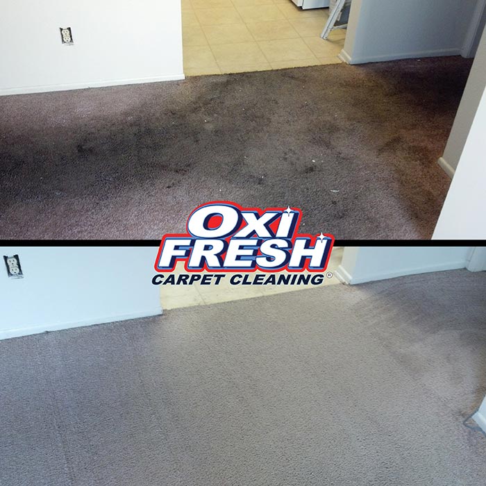 Carpet-Cleaning-Before-and-After-Photo-Oxi-Fresh-3