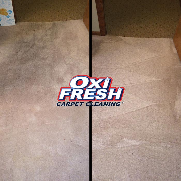 Carpet-Cleaning-Before-and-After-Photo-Oxi-Fresh-13