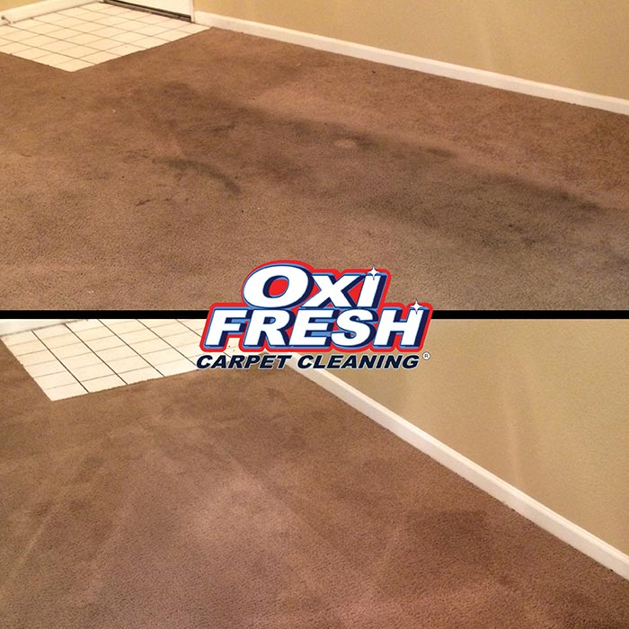 Carpet-Cleaning-Before-and-After-Photo-Oxi-Fresh-12