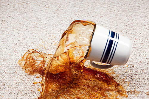 coffee spilling onto beige berber carpet from a white mug with blue stripes