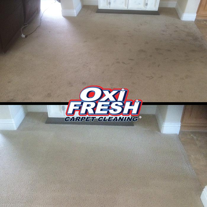 Carpet-Cleaning-Before-and-After-Photo-Oxi-Fresh-11