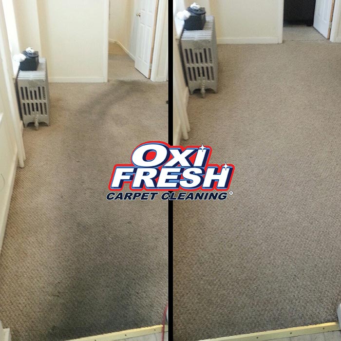 Carpet-Cleaning-Before-and-After-Photo-Oxi-Fresh-20