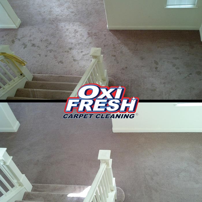 Carpet Cleaning Services Oxi Fresh