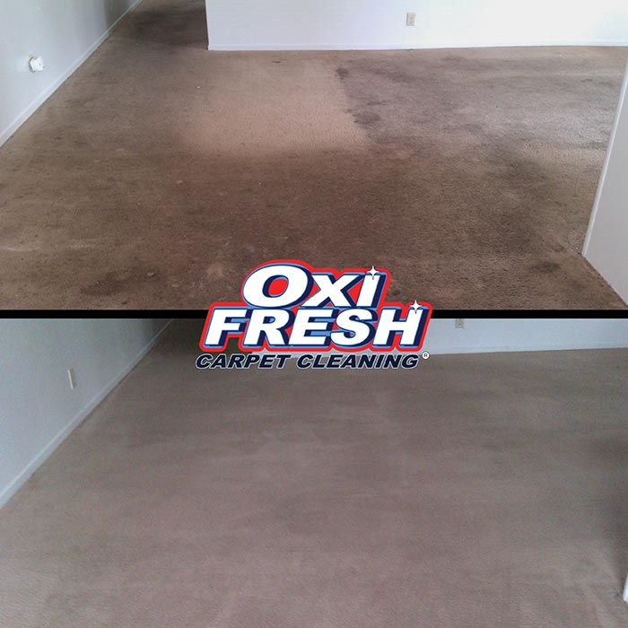 Carpet-Cleaning-Before-and-After-Photo-Oxi-Fresh-4