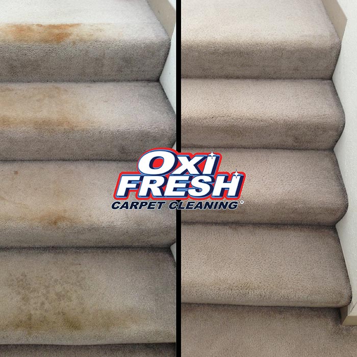 Carpet-Cleaning-Before-and-After-Photo-Oxi-Fresh-16