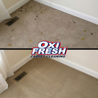 Carpet-Cleaning-Before-and-After-Photo-Oxi-Fresh-4