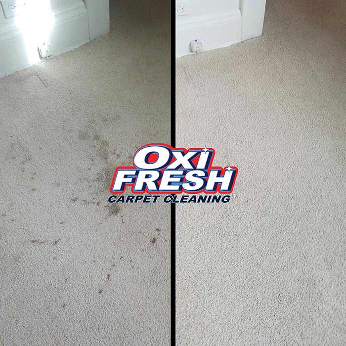 A picture of splatter stain on carpet. Before it was cleaned on the left, after it was cleaned on the right