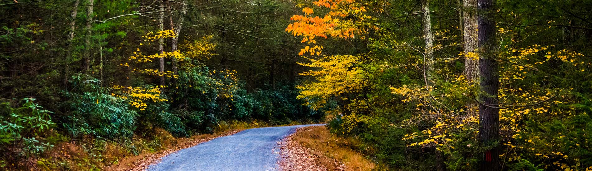 Oxi Fresh Carpet Cleaning Mechanicsburg, PA OxiFresh