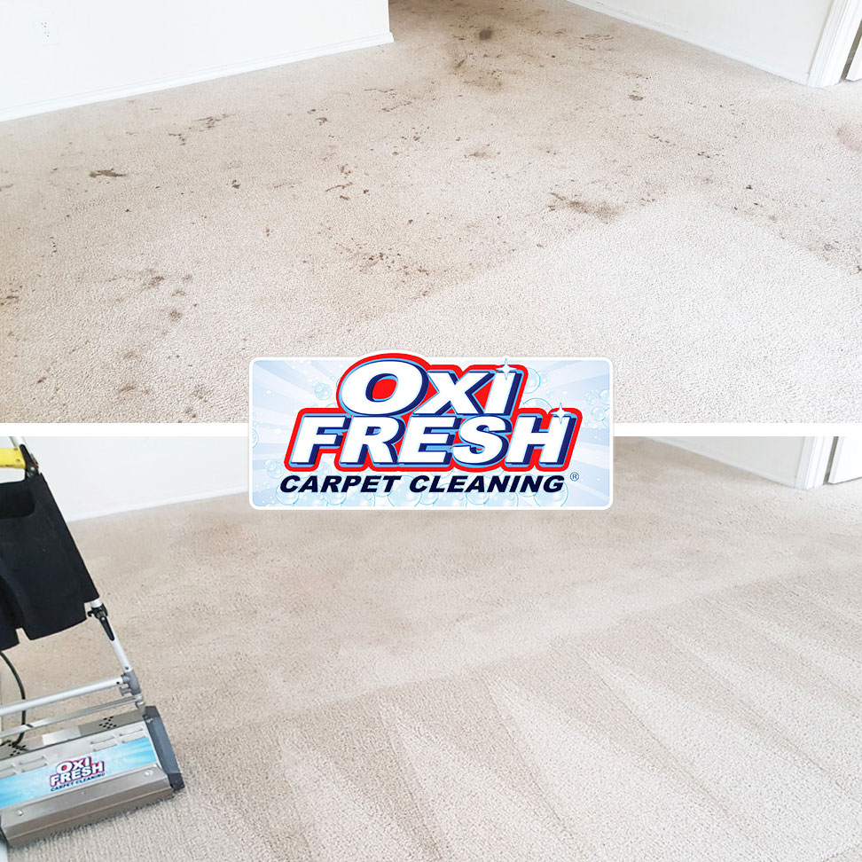 Oxi Fresh Carpet Cleaning San Antonio, TX OxiFresh