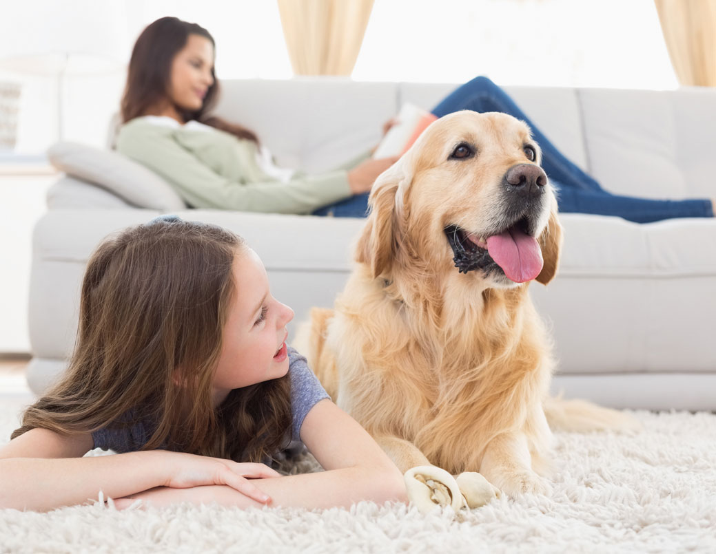 carpet-cleaning-services-page1