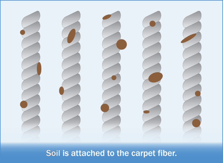 Soil is attached to the carpet fiber.