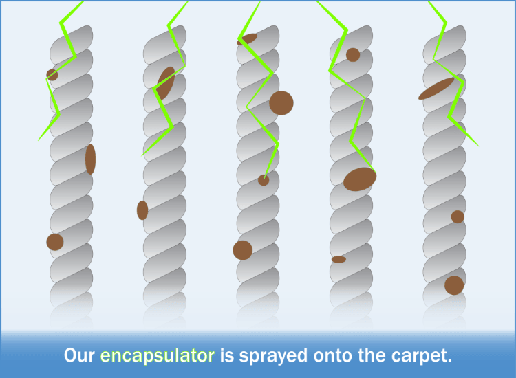 Our Encapsulator is sprayed onto the carpet.