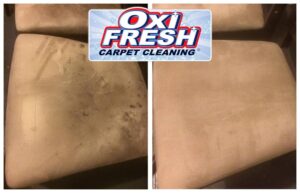 Dirty and clean side-by-side of dining room chair cushions showing cleaning results