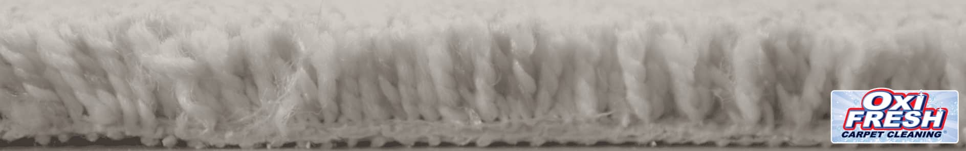 Cross-section of a cut pile carpet.